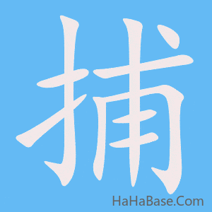 《捕》的筆順動畫寫字動畫演示