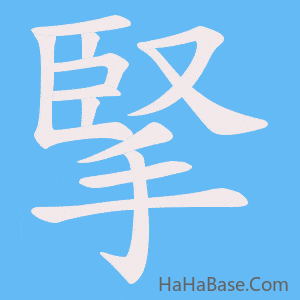 《掔》的筆順動畫寫字動畫演示