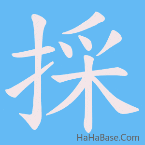 《採》的筆順動畫寫字動畫演示
