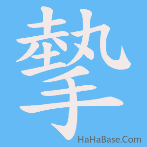 《摰》的筆順動畫寫字動畫演示