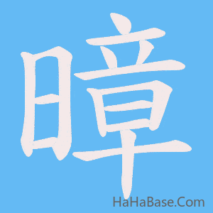 《暲》的筆順動畫寫字動畫演示