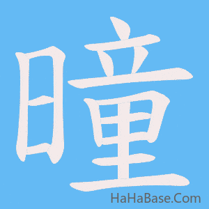 《曈》的筆順動畫寫字動畫演示