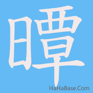 《曋》的筆順動畫寫字動畫演示