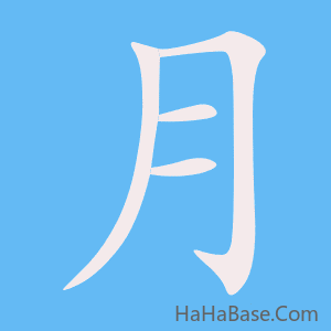《月》的筆順動畫寫字動畫演示