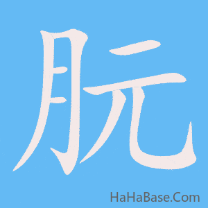 《朊》的筆順動畫寫字動畫演示