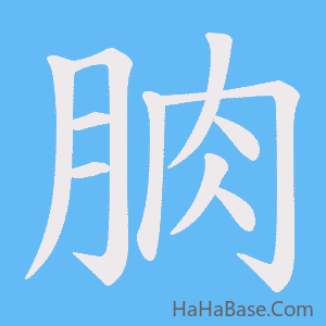 《朒》的筆順動畫寫字動畫演示
