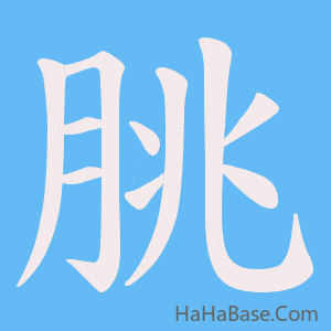 《朓》的筆順動畫寫字動畫演示