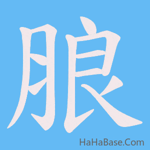 《朖》的筆順動畫寫字動畫演示