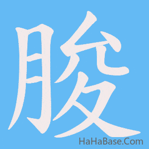 《朘》的筆順動畫寫字動畫演示