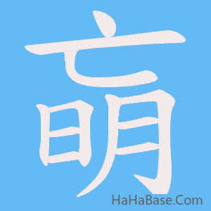 《朚》的筆順動畫寫字動畫演示