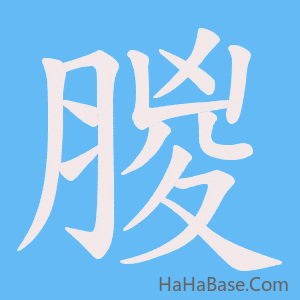 《朡》的筆順動畫寫字動畫演示