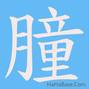 《朣》的筆順動畫寫字動畫演示