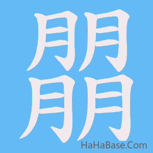 《朤》的筆順動畫寫字動畫演示