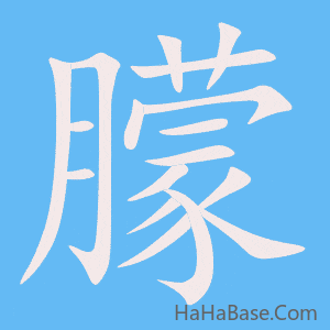 《朦》的筆順動畫寫字動畫演示