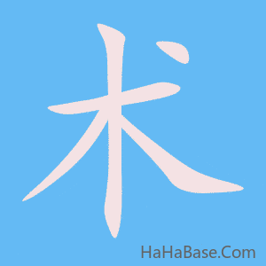 《术》的筆順動畫寫字動畫演示