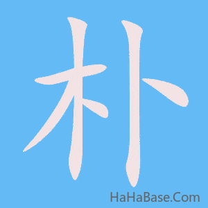 《朴》的筆順動畫寫字動畫演示