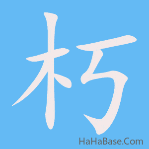 《朽》的筆順動畫寫字動畫演示