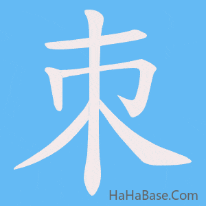 《朿》的筆順動畫寫字動畫演示