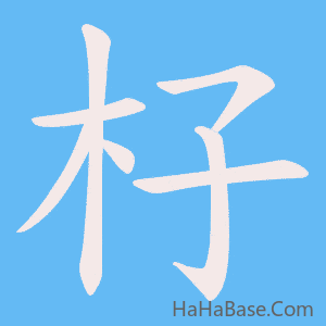 《杍》的筆順動畫寫字動畫演示