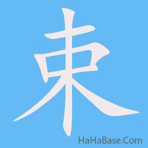 《束》的筆順動畫寫字動畫演示