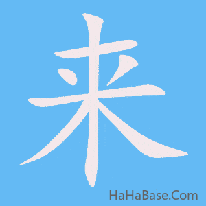 《来》的筆順動畫寫字動畫演示