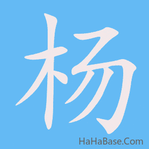 《杨》的筆順動畫寫字動畫演示