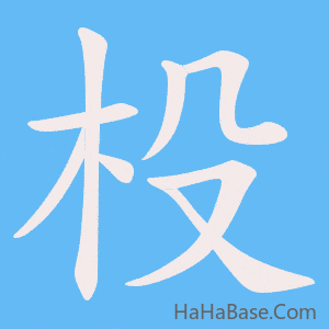 《杸》的筆順動畫寫字動畫演示