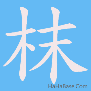 《枺》的筆順動畫寫字動畫演示