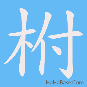 《柎》的筆順動畫寫字動畫演示
