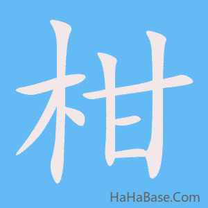 《柑》的筆順動畫寫字動畫演示