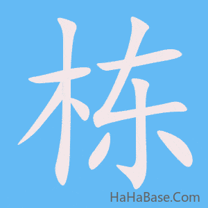《栋》的筆順動畫寫字動畫演示