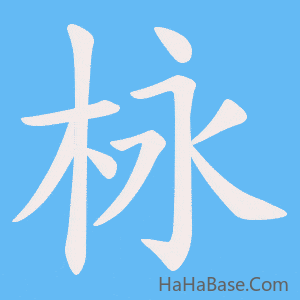 《栐》的筆順動畫寫字動畫演示