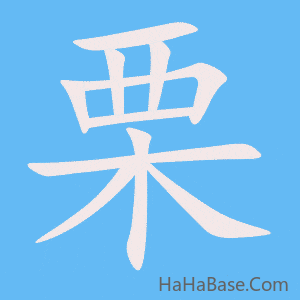《栗》的筆順動畫寫字動畫演示
