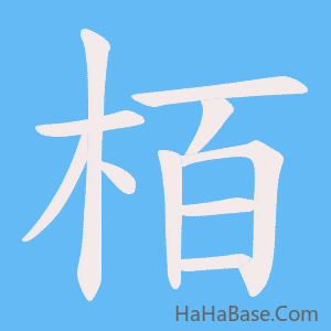 《栢》的筆順動畫寫字動畫演示