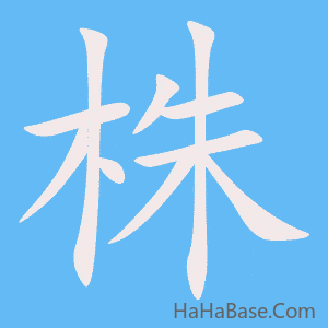 《株》的筆順動畫寫字動畫演示