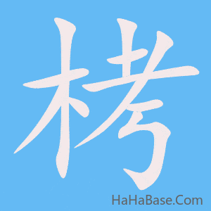 《栲》的筆順動畫寫字動畫演示