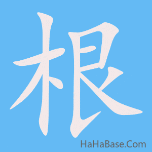《根》的筆順動畫寫字動畫演示