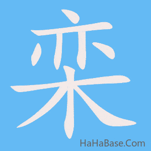 《栾》的筆順動畫寫字動畫演示