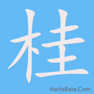 《桂》的筆順動畫寫字動畫演示