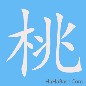 《桃》的筆順動畫寫字動畫演示