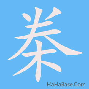 《桊》的筆順動畫寫字動畫演示