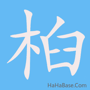 《桕》的筆順動畫寫字動畫演示