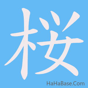 《桜》的筆順動畫寫字動畫演示
