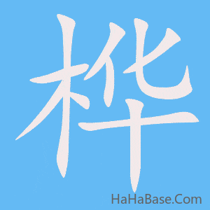 《桦》的筆順動畫寫字動畫演示