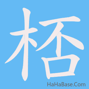 《桮》的筆順動畫寫字動畫演示