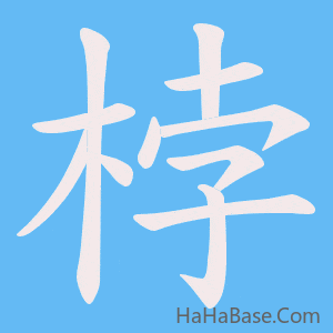 《桲》的筆順動畫寫字動畫演示