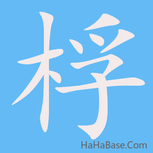 《桴》的筆順動畫寫字動畫演示
