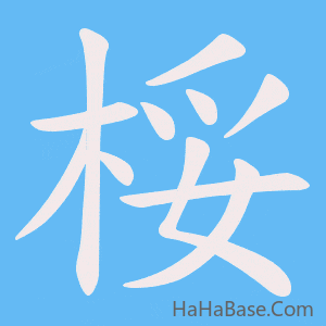 《桵》的筆順動畫寫字動畫演示