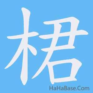《桾》的筆順動畫寫字動畫演示