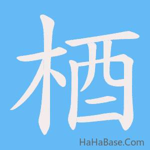 《梄》的筆順動畫寫字動畫演示
